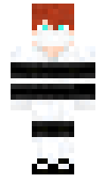 02557dbe8c49e5 minecraft skin