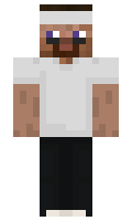 IceyMoMo minecraft skin