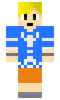 Bloky minecraft skin