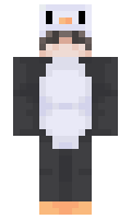 PicQuin minecraft skin