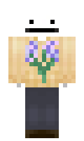 MrMcBricks minecraft skin