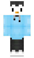 sedminator minecraft skin