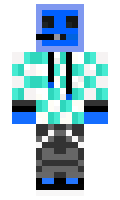 petrix minecraft skin