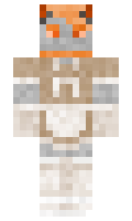 0302500de5059b minecraft skin