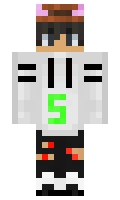 SkRuTzZ minecraft skin