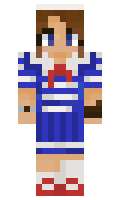 232 minecraft skin
