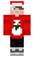 034d5d11d5c7b3 minecraft skin