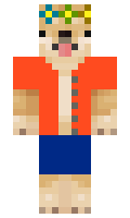 036acb17616681 minecraft skin