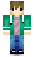 0377f81c954411 minecraft skin