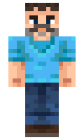 duckszz minecraft skin