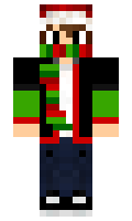 roobe minecraft skin