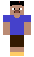 pobeditel minecraft skin