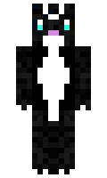 Hokusai669 minecraft skin