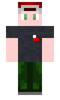 odyvanchik minecraft skin