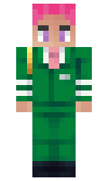 0423315a79e8b8 minecraft skin