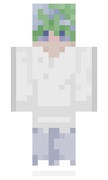 maroni153 minecraft skin