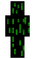 J777GD minecraft skin