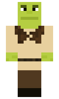 edvi minecraft skin