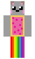 Computer minecraft skin