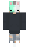 RIOTEMGamerYT minecraft skin
