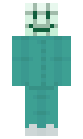 TtT1t minecraft skin