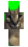 Goodwin minecraft skin