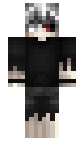 ParadiseWolf minecraft skin