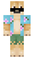 0490dac1fd3576 minecraft skin