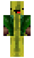 bigkach minecraft skin