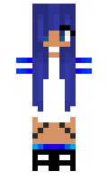 04a1db4f343bd6 minecraft skin