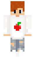 04c3df2f810489 minecraft skin