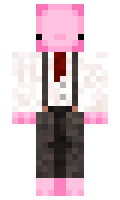 Xand3rZone minecraft skin