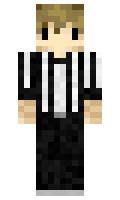 DxrkPaper minecraft skin