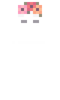 04fb0d0d0e776f minecraft skin