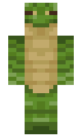 05026656b4e100 minecraft skin