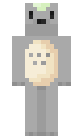 0504401ac29602 minecraft skin