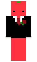 t0m4tik00 minecraft skin