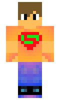 mision minecraft skin