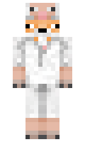 TheAtomfox minecraft skin