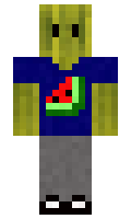 CubicBits minecraft skin