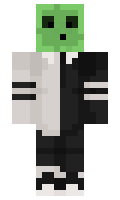 Polygon3 minecraft skin