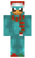 skiddney minecraft skin