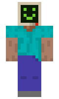 Fyo minecraft skin