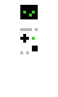 05df90995dc4d5 minecraft skin