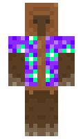 Tole711 minecraft skin