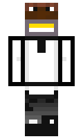 zibzikon minecraft skin