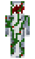 MiniMacDon minecraft skin