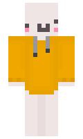 Lnpi minecraft skin