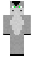 0617e8826d5ebd minecraft skin