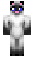 Reju minecraft skin